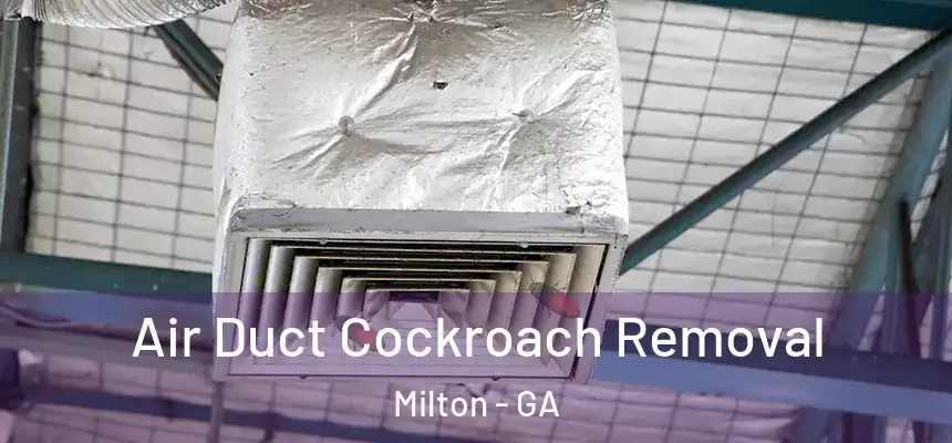  Air Duct Cockroach Removal Milton - GA