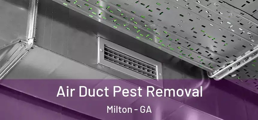  Air Duct Pest Removal Milton - GA