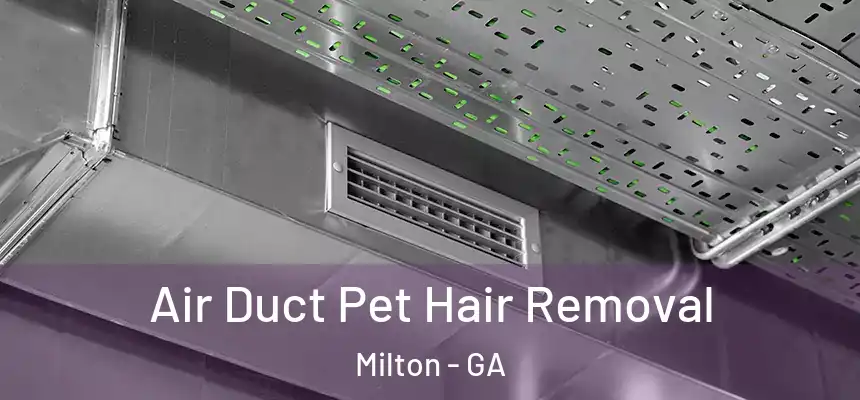  Air Duct Pet Hair Removal Milton - GA