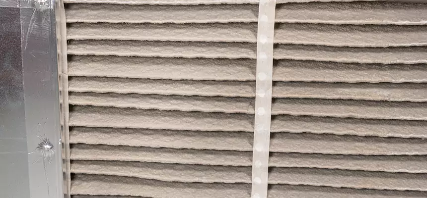 Mobile Car AC Filter Replacement in Milton