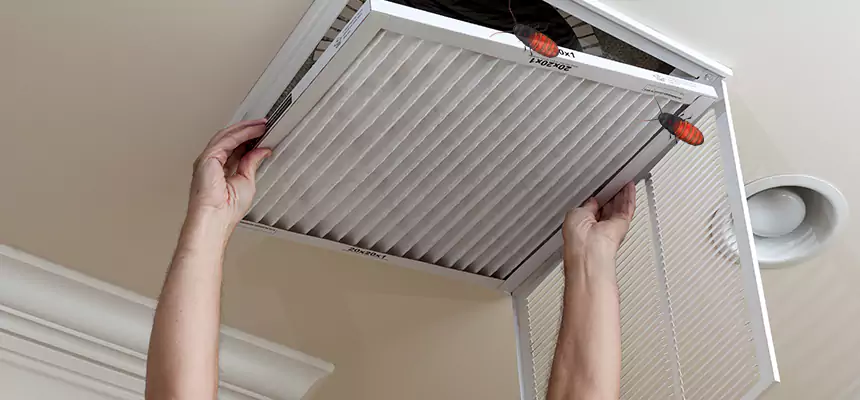 Preventive Cockroach-Proofing for Ducts in Milton