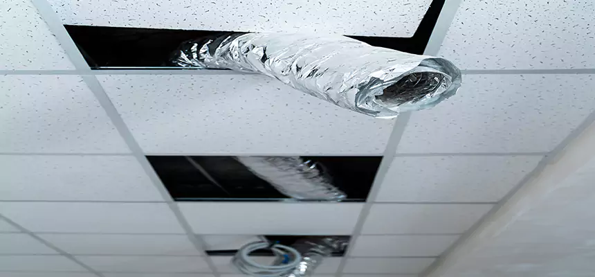 Our Air Duct Pet Hair Removal Services in Milton, GA