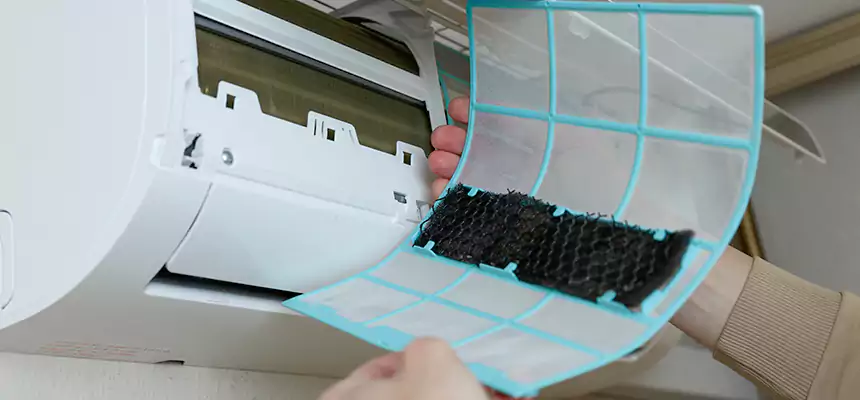 Gentle Ductwork Odor-Control Pet Dander Duct Cleaning in Milton, GA