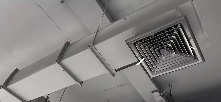 Our Rodent Droppings In Vents Services in Milton, GA