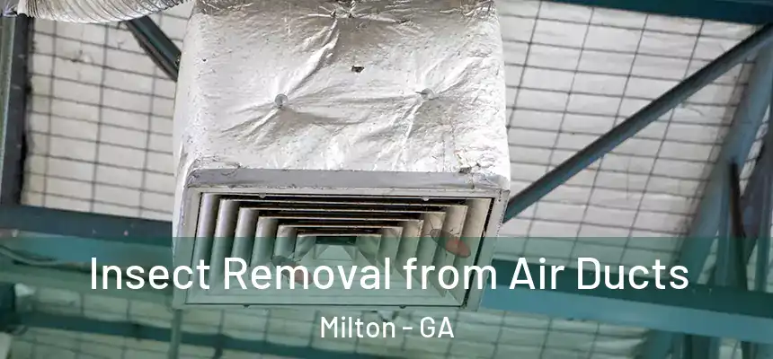  Insect Removal from Air Ducts Milton - GA