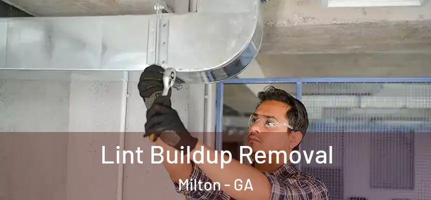  Lint Buildup Removal Milton - GA