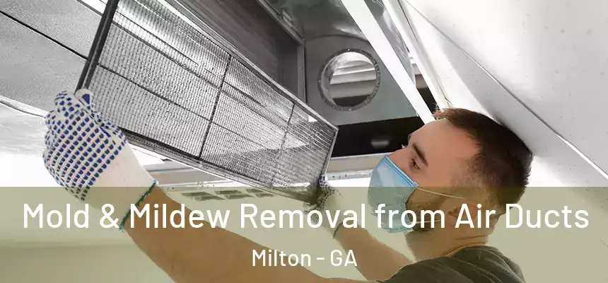  Mold & Mildew Removal from Air Ducts Milton - GA