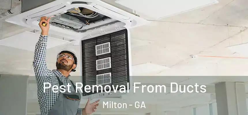  Pest Removal From Ducts Milton - GA