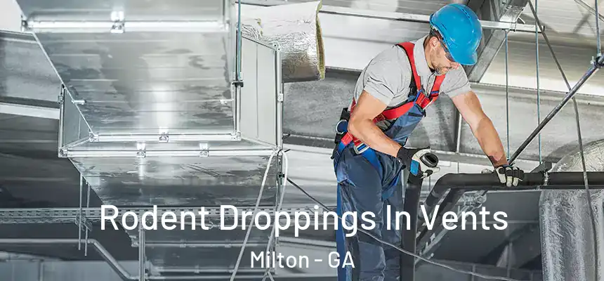  Rodent Droppings In Vents Milton - GA