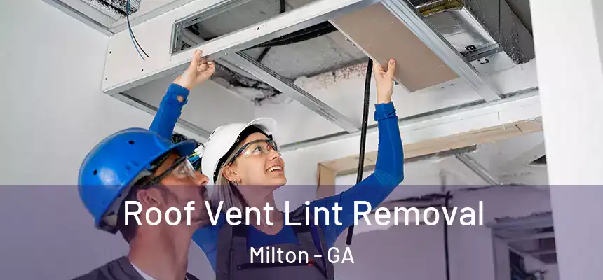  Roof Vent Lint Removal Milton - GA