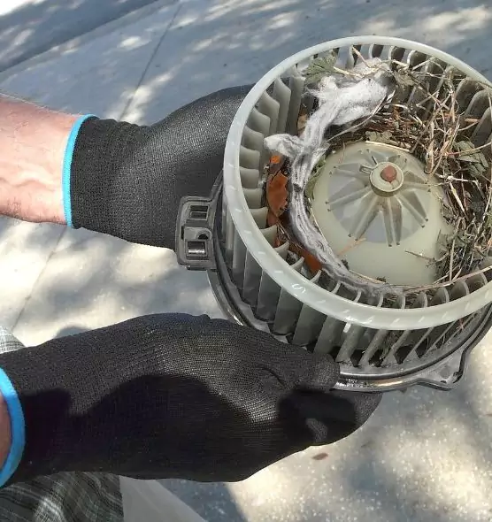 About Air Duct Rat Removal in Milton, GA