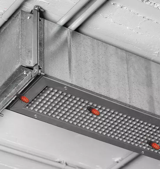 Affordable Insect Removal from Air Ducts in Milton, GA