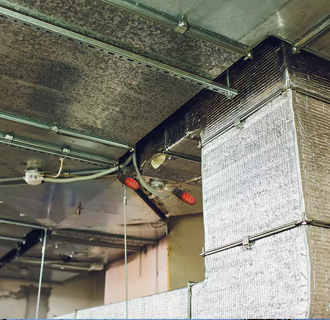 Why Homeowners & Businesses Trust Us in Milton, GA?