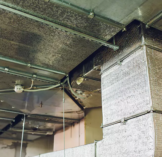 Why Homeowners & Businesses Trust Us in Milton, GA?